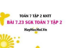 Bài 7.23 SGK Toán 7 tập 2 Kết nối tri thức